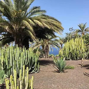 3* Aparthotel Résidence Pierre&vacances Marazul Del Sur